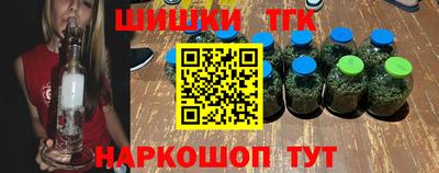 индика Моздок