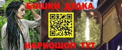 индика Моздок