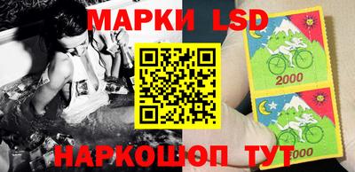 индика Моздок