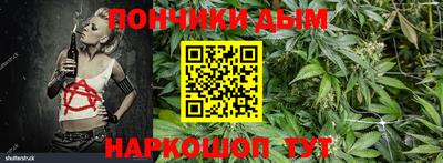 индика Моздок