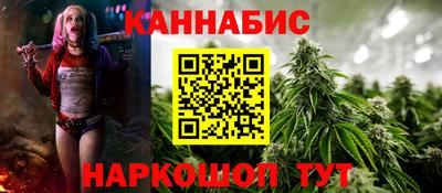 индика Моздок