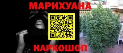 индика Моздок