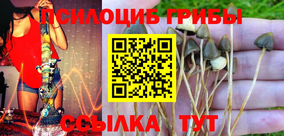 Псилоцибиновые грибы GOLDEN TEACHER Чебаркуль