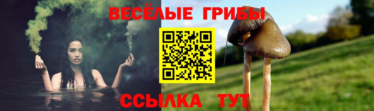 Чебаркуль  Галлюциногенные грибы мицелий  Вход с VPN 